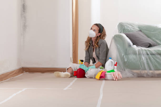 Reliable Mold Remediation contractor in Belmont, VA by 24 Hour Mold Removal